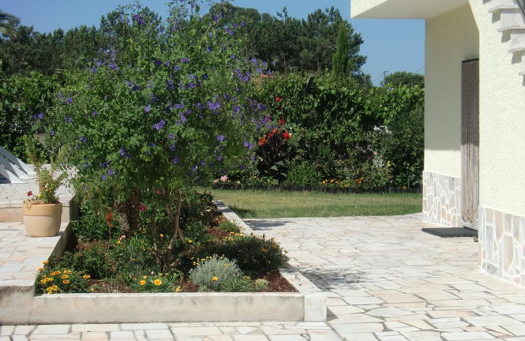 Quinta Da Harmonia Apartment Azeitao Ngoại thất bức ảnh