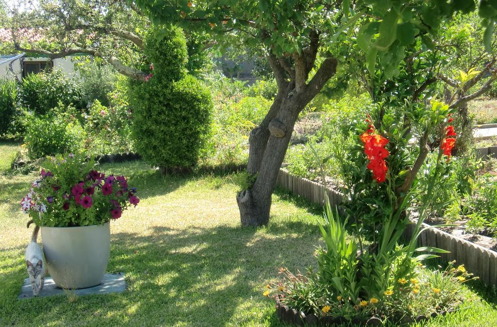Quinta Da Harmonia Apartment Azeitao Ngoại thất bức ảnh